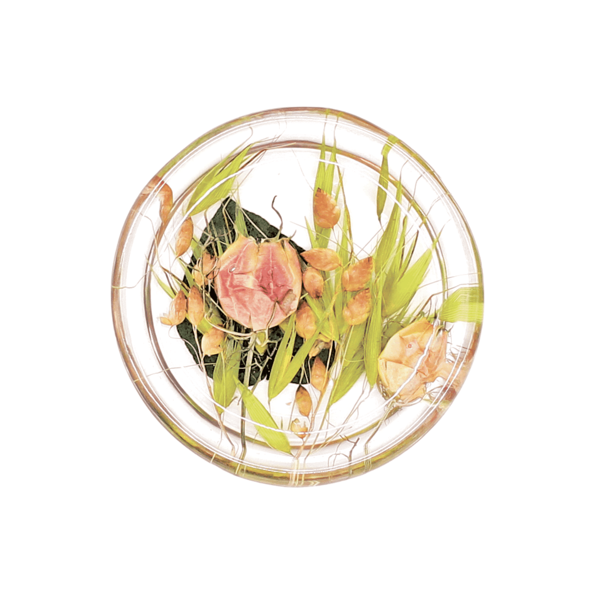 Sottobicchiere - Artesana Home Decor - Sottobicchiere