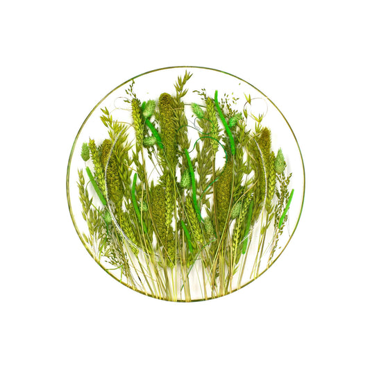 Centrotavola Piatto Tondo 24 cm
