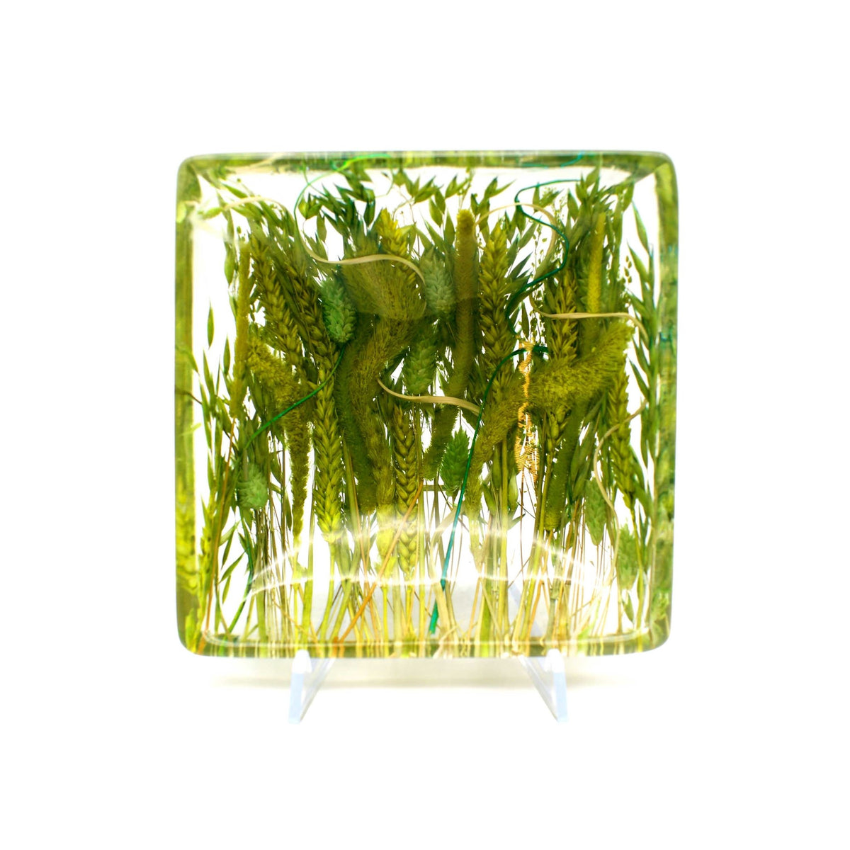Coppetta Quadrata 13 cm - Artesana Home Decor - Coppetta Quadrata 13 cm